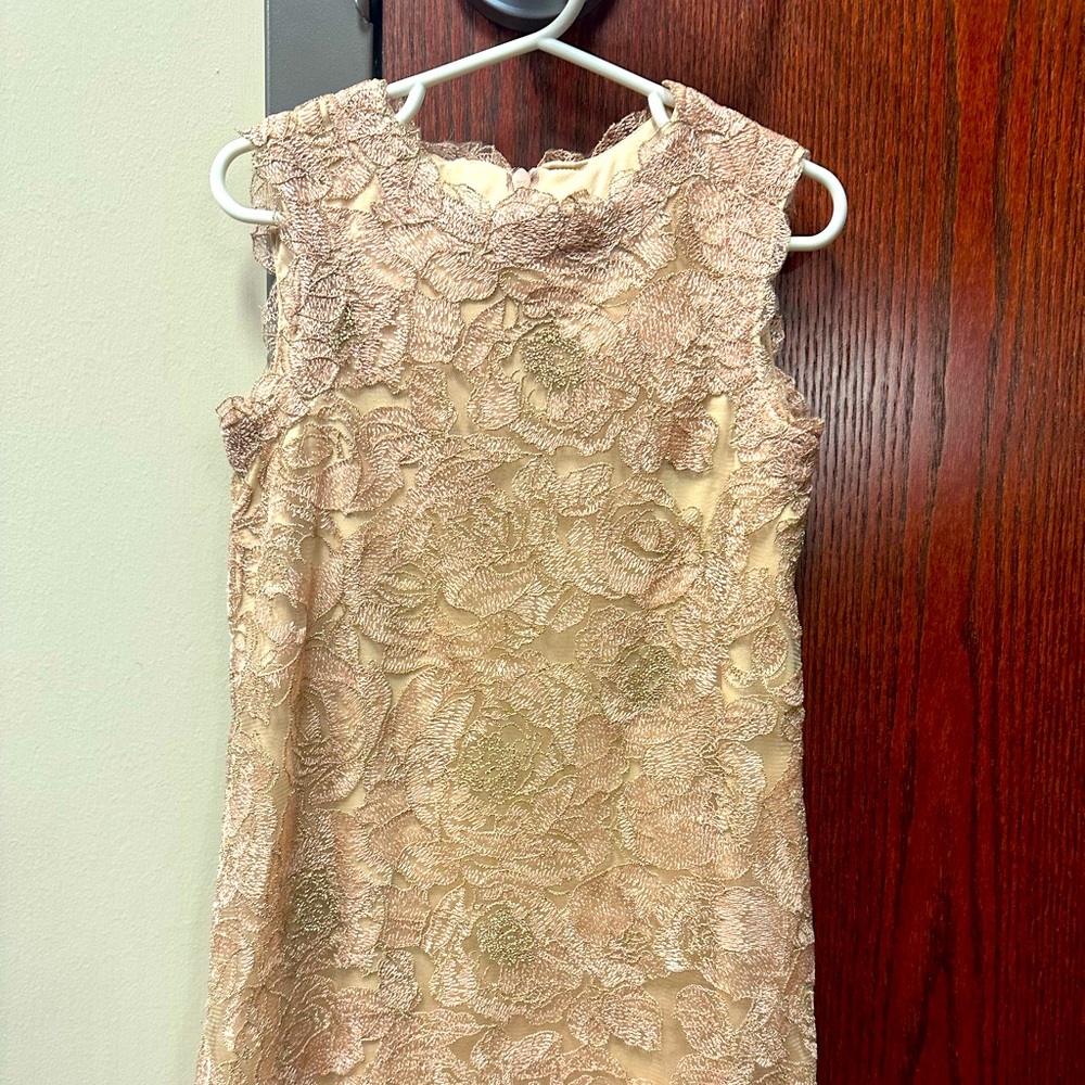 Tadashi Shoji Lace dress Size 6